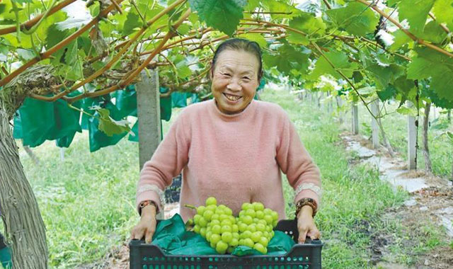 电商赋能、资源盘活、模式创新——渭南乡村