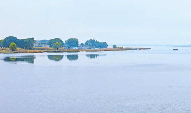 濕地鳥鳴，沙海煥新生——榆林市榆陽區(qū)繪就生