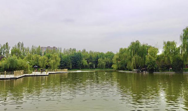 紅光公園 秋色如畫