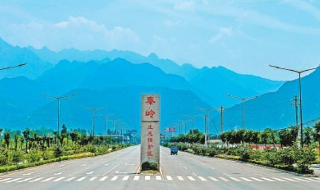 守护祖脉秦岭三年行动——陕西累计完成造林