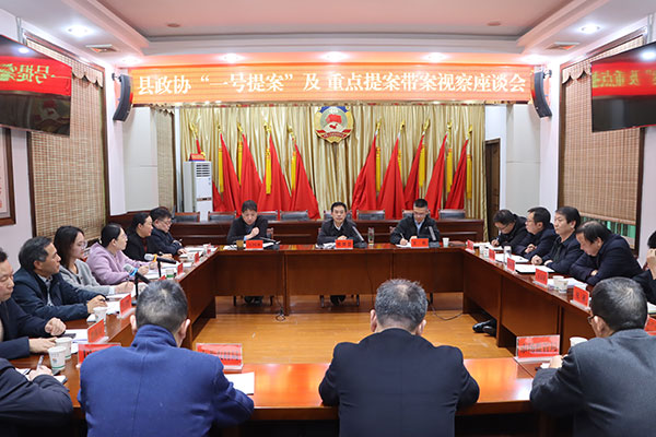 商南縣政協(xié)開展2025年“一號提案”及重點(diǎn)提案帶案視察活動(dòng)