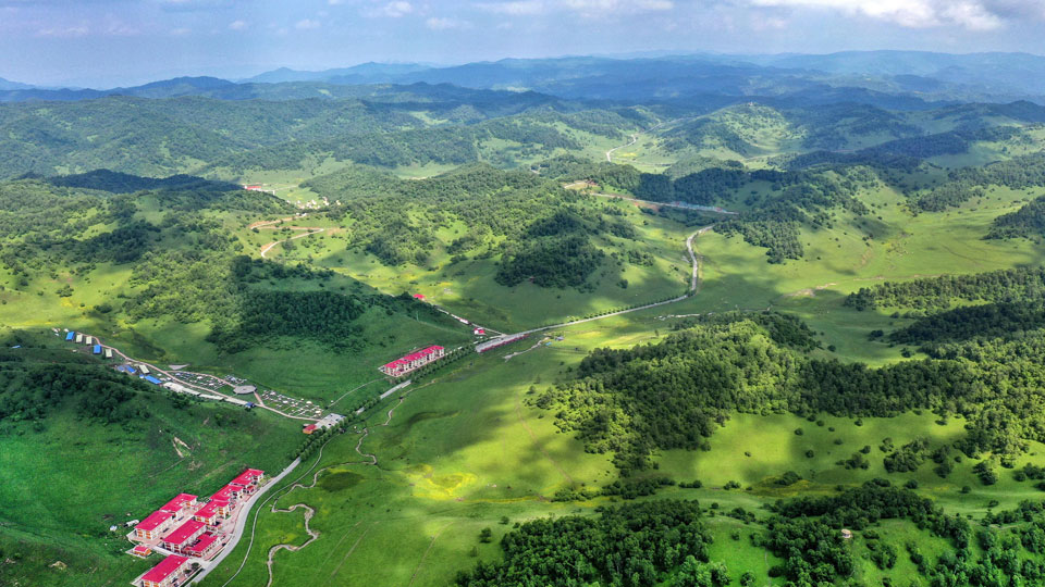 世界奶羊产业盛会落地陇县！杨凌农高会期间启幕