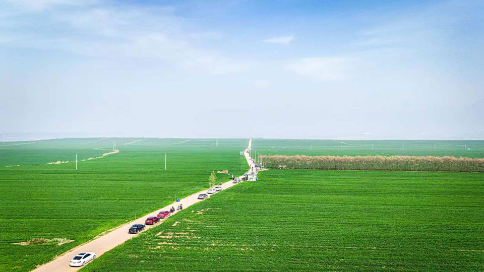 西安都市现代农业新质生产力廊道项目将亮相杨凌农高会 打造全产业链发展新格局