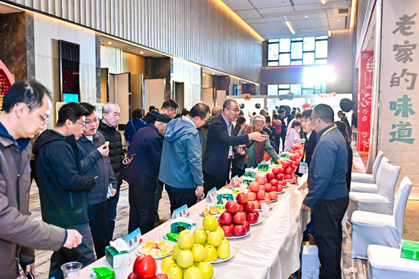 榆林绥德山地苹果专场推介会在西安举办