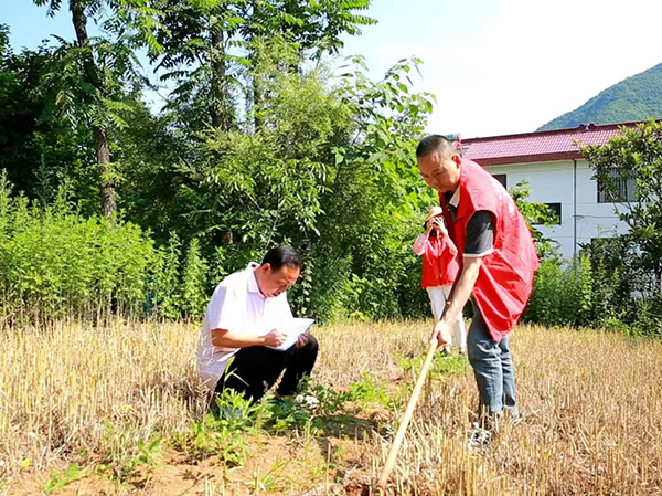 【委员风采】陈维智委员：用笔尖传递民声的“老黄牛”