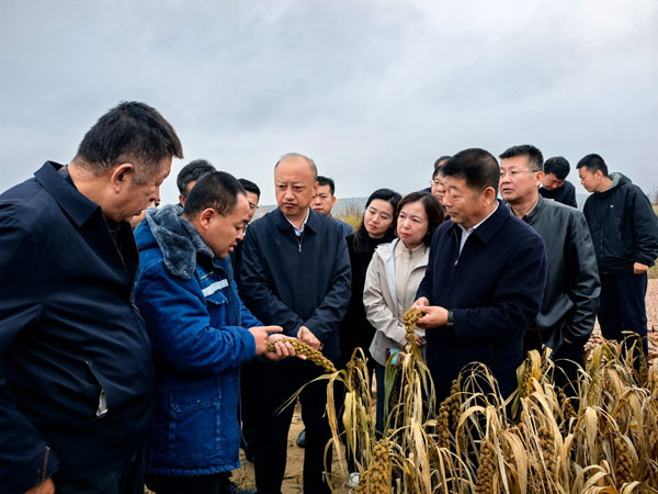 府谷縣政協(xié)視察全縣高標(biāo)準(zhǔn)農(nóng)田建設(shè)工作