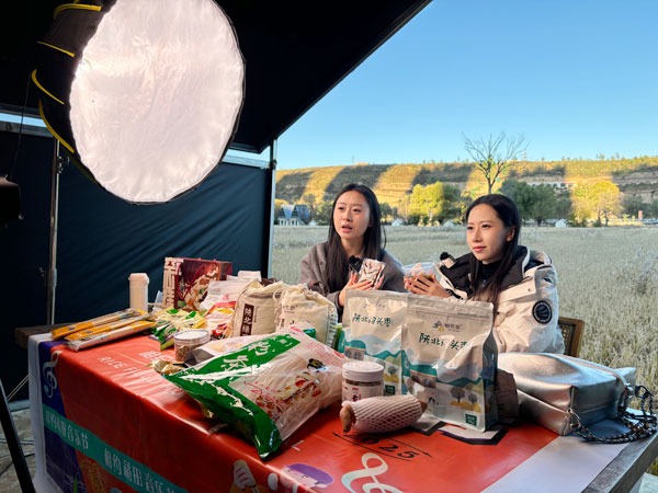 稻浪伴樂(lè)聲 好物助振興 榆林市榆陽(yáng)區(qū)蘭若坊?柿子樹(shù)下稻田音樂(lè)季燃動(dòng)陜北深秋