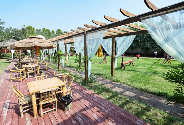 解码杨凌农科城创新实践 | 田西村：科技赋能绘就三产融合新图景‌