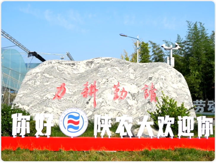 解码杨凌农科城创新实践丨10月26日采访集锦