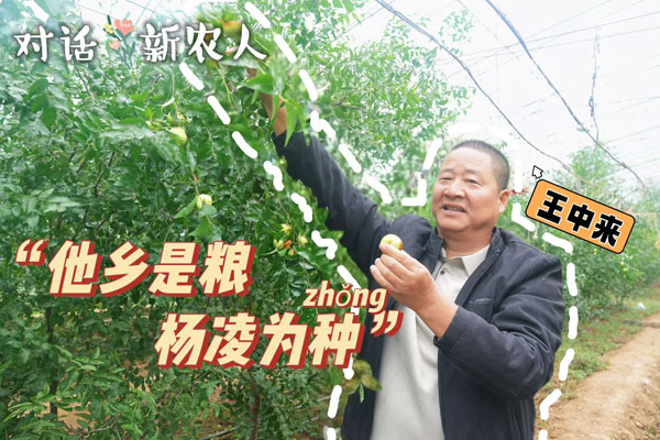 解码杨凌农科城创新实践丨对话新农人·乡村“陕”光计划 第三集