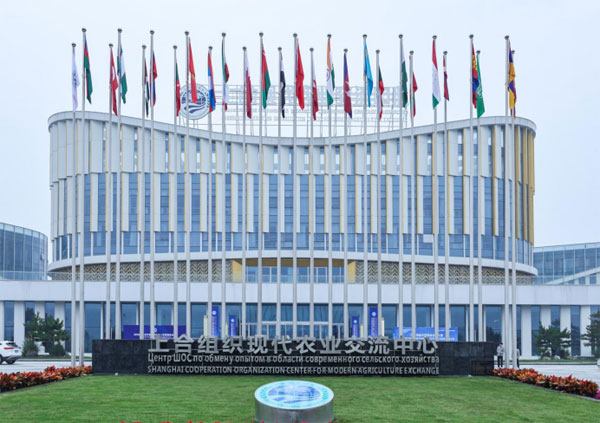 解码杨凌农科城创新实践丨农科杨凌：创新合作 “智”绘美美与共“上合路”