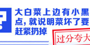 大白菜上邊有小黑點，就說明菜壞了要趕緊扔掉