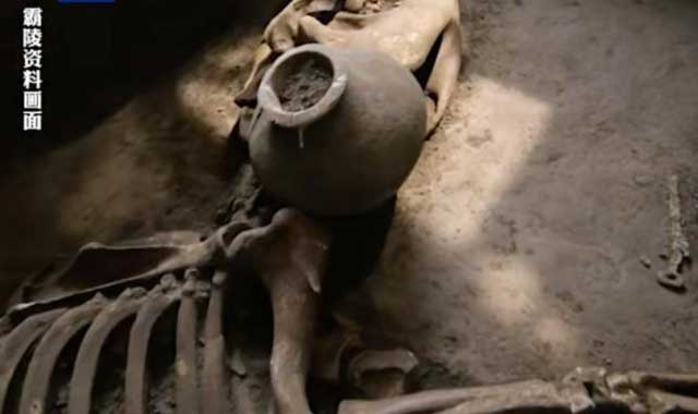 考古學(xué)家確認(rèn)漢文帝霸陵出現(xiàn)“進(jìn)口寶馬”