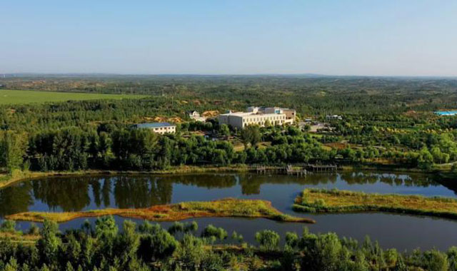 看荒漠變綠洲的“綠色魔法”