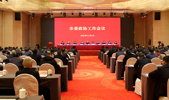   宝鸡市委政协工作会议召开