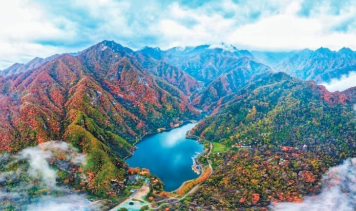 让文明的脚步与生态同频 倡议市民守护秦岭 抵制非法穿越