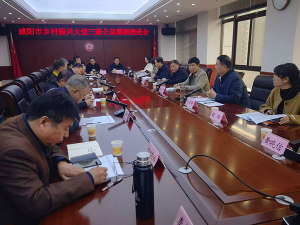 咸陽召開“鄉村振興·大愛三秦”公益募捐推進會