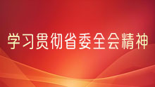 学习贯彻省委全会精神
