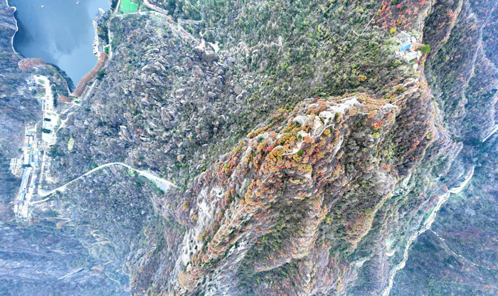 讓世界看見秦嶺——秦嶺生態環境保護文化宣傳系列活動（2025-2026）啟動