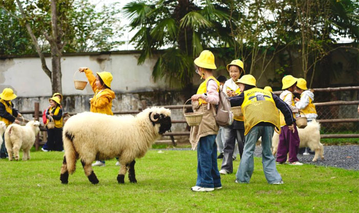 秋假“上線”，收獲幾何？——多地中小學春秋假一線見聞