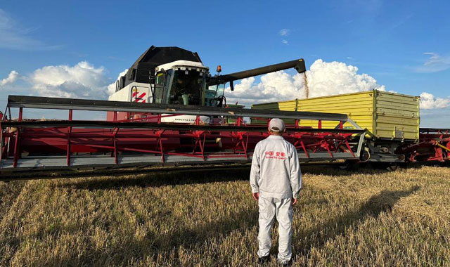 一捧中亚小麦的东方之旅