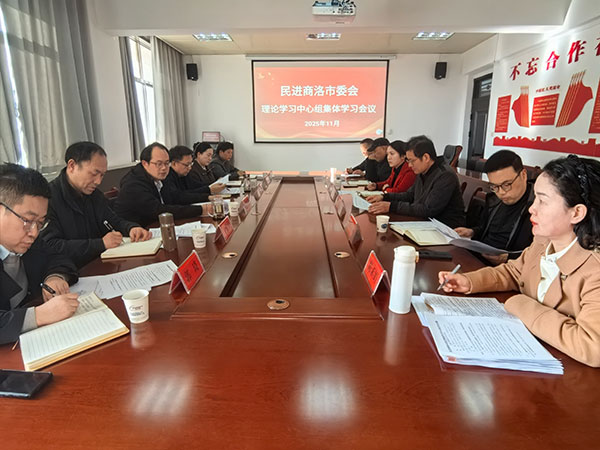 民進(jìn)商洛市委會(huì)學(xué)習(xí)貫徹中共二十屆四中全會(huì)精神