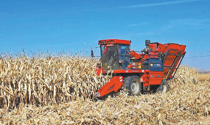 陕西定边：科技赋能提质 产销一体增效