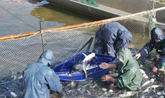 陕北冬日起渔歌