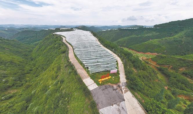 奏响乡村振兴“奋进曲”