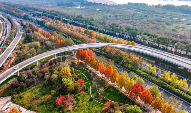 秦汉新城渭河北岸冬日盛景