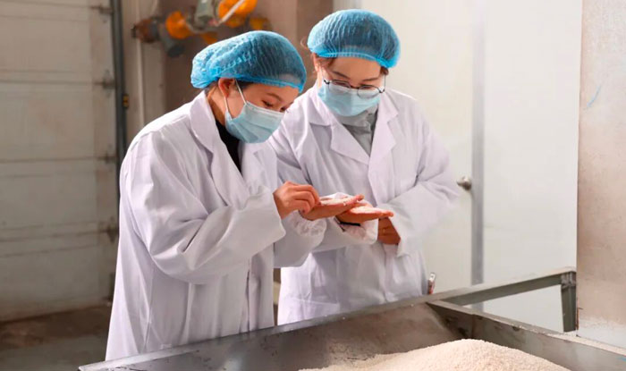 塞上珍馐 榆阳味道｜榆阳炒米：粒粒藏风味 产业助增收