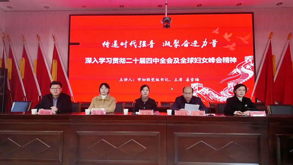 精神宣講凝共識(shí) 惠民服務(wù)暖人心丨榆林市婦聯(lián)赴米脂開展主題活動(dòng)