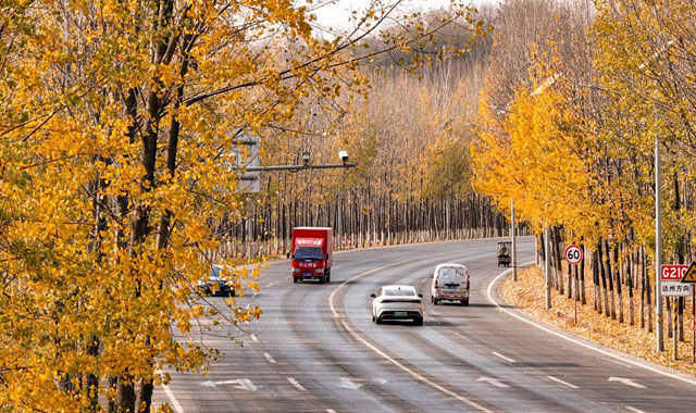 冬日终南大道 车流穿梭黄叶间