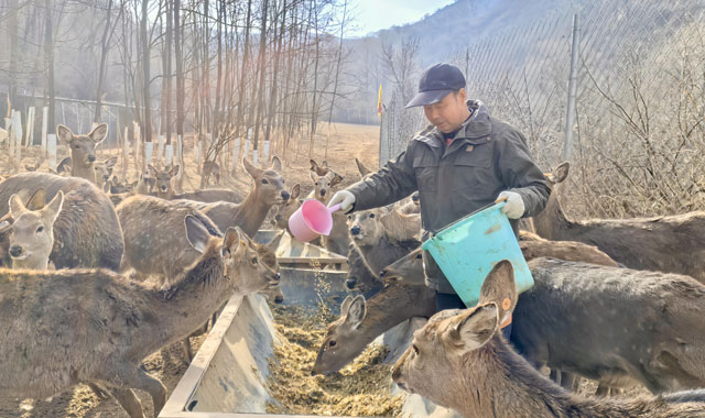山区小县城的蝶变 ——麟游县“三感”提升 