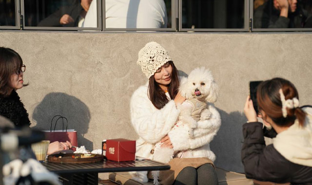 西安：老城“新社区”激发文化消费活力