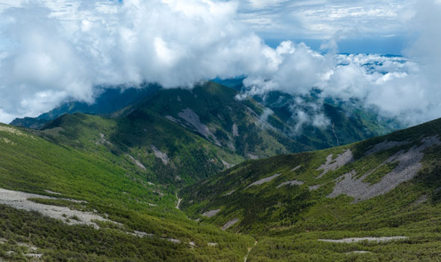 秦岭深处，他们凭什么能“听懂”大山的语言？