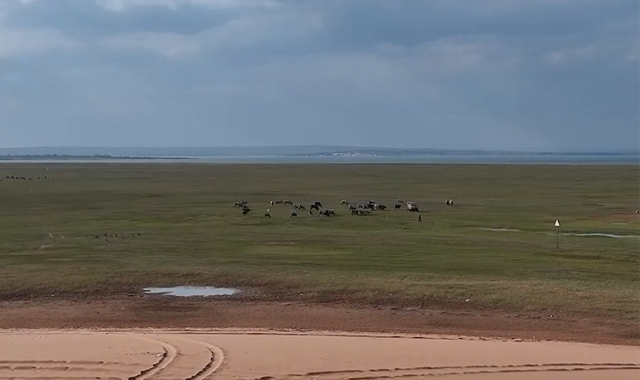中国之城丨陕西榆林：黄土高原上的绿洲