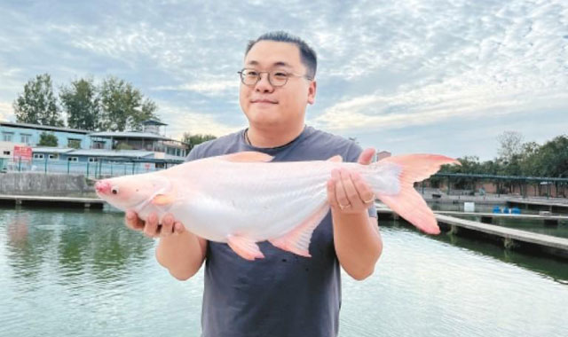  “西安都市渔业增长计划”丰富市民菜篮子