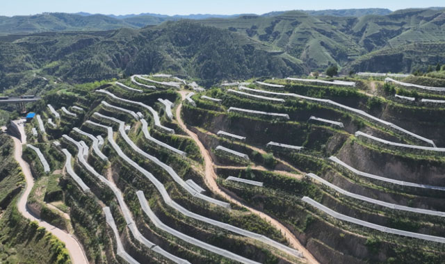 乡村振兴在行动丨陕西吴堡：同心协作绘就富民